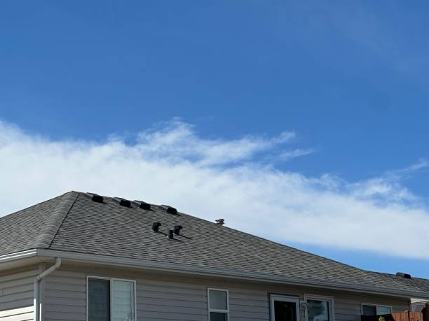 Best Cold Roofs  in Jennings, MO